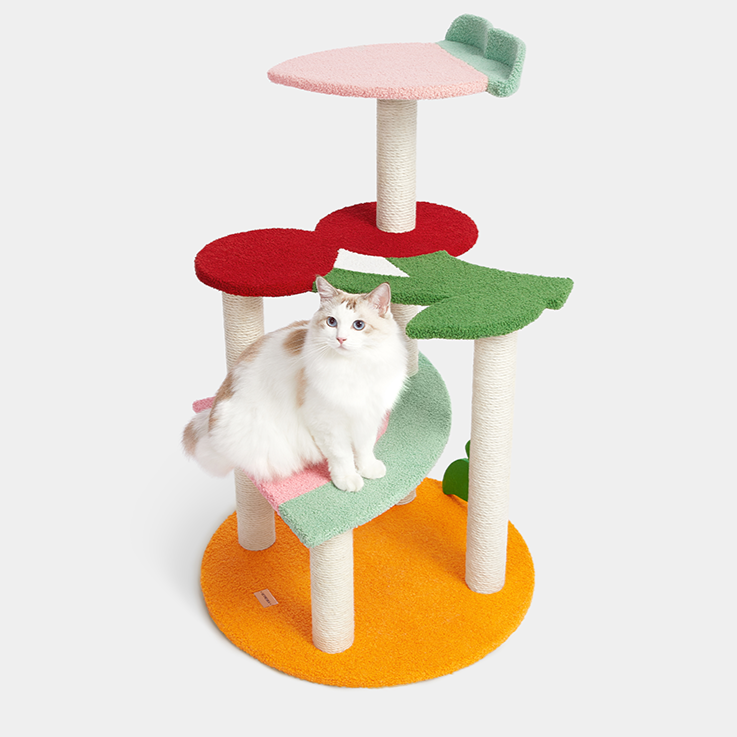 Fruity Car Climber 水果猫爬架