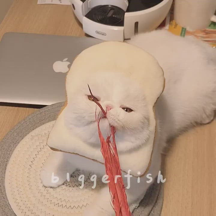 Bigger Fish Toast Elizabeth 土司头套