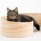 Pidan Pet bed Cat’s bed Spiral type