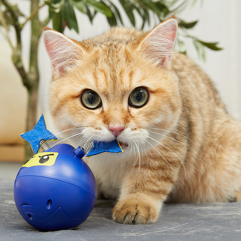 忍者先生电动猫玩具(武士蓝/热血红)