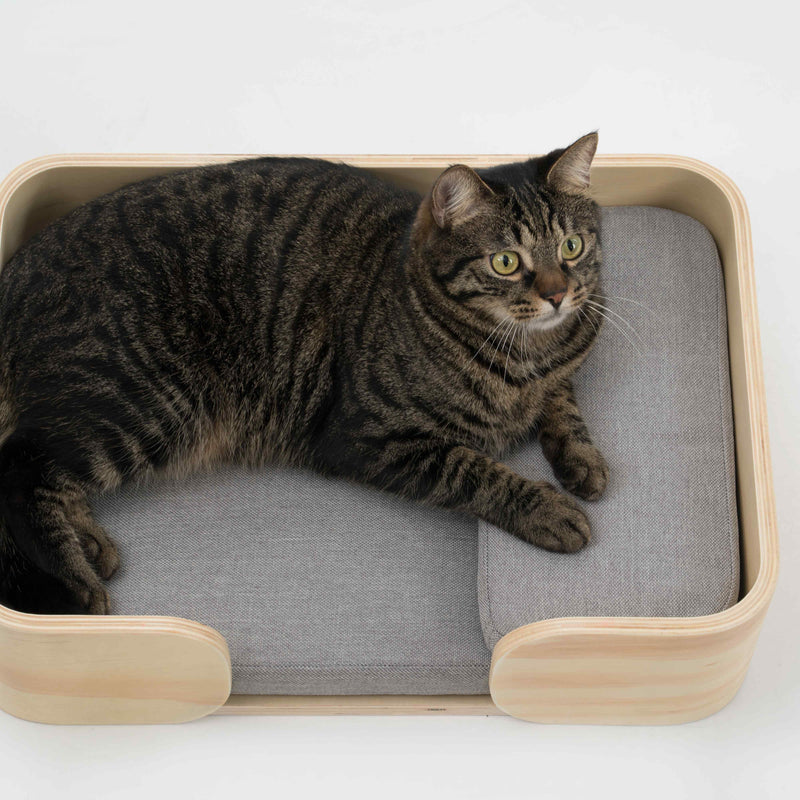 Pidan Pet bed Cat’s bed Rectangular type