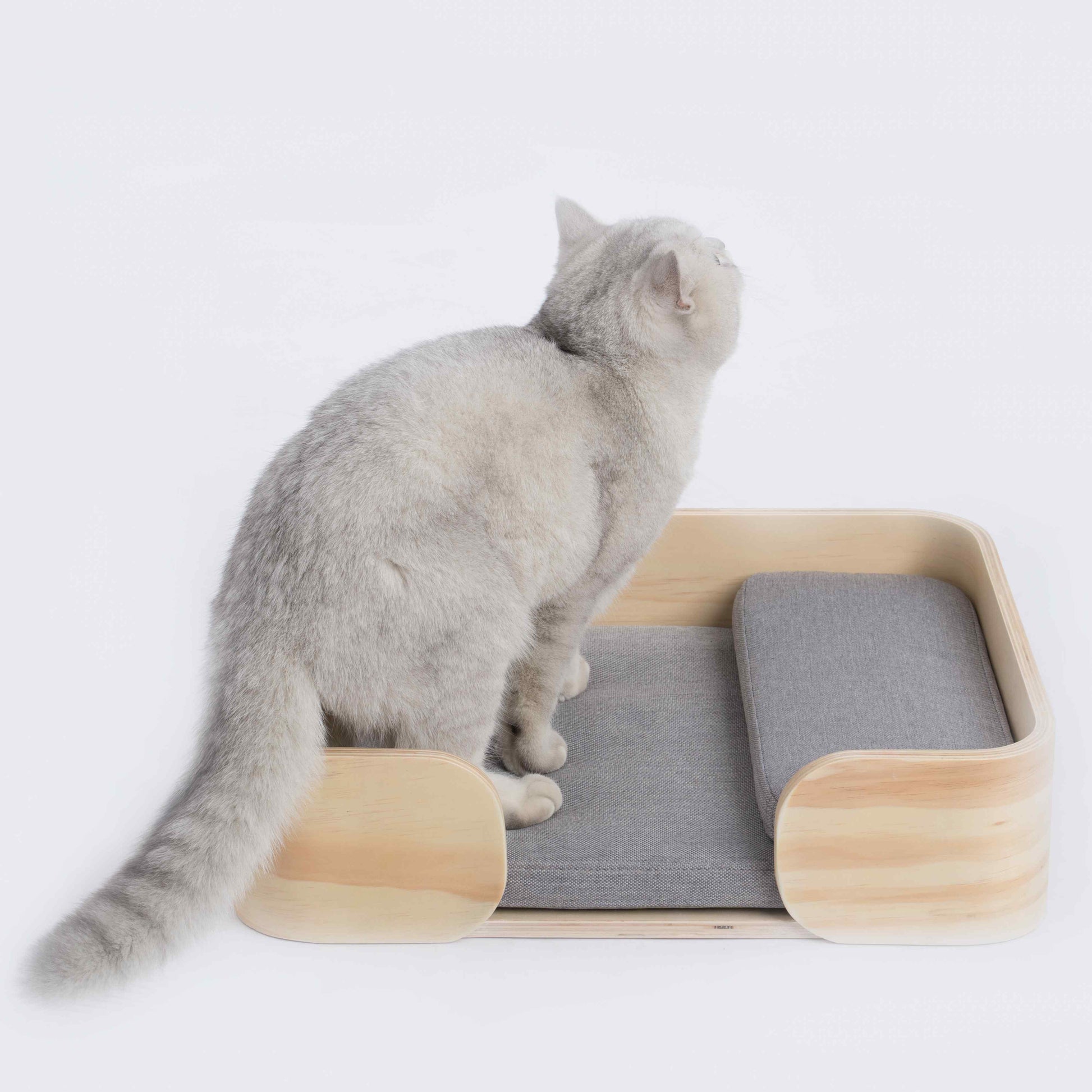 Pidan Pet bed Cat’s bed Rectangular type