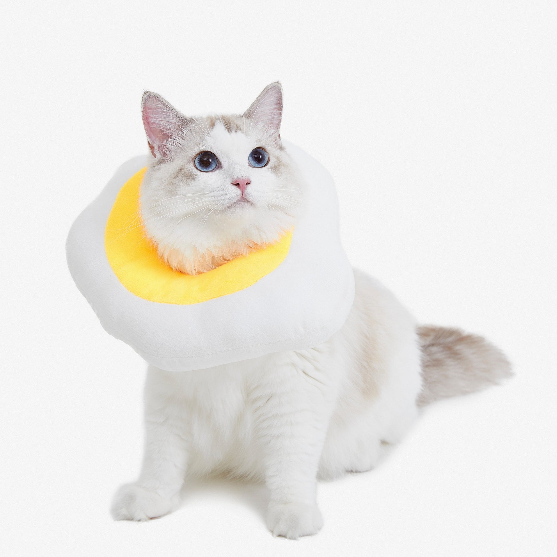 Vetreska Elizabeth Pet Collar 伊丽莎白圈(荷包蛋/鸡腿)