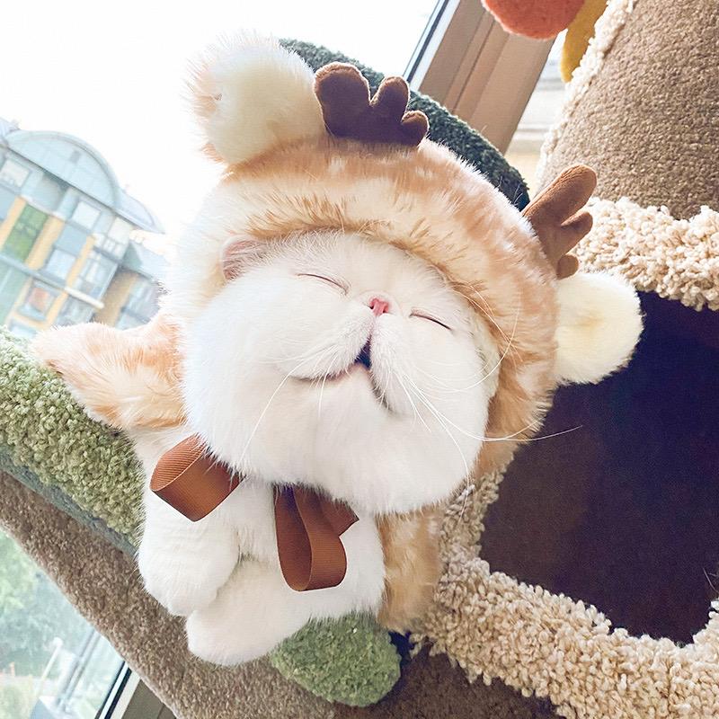 Bigger Fish Deer Cloak 小鹿斗篷 通码