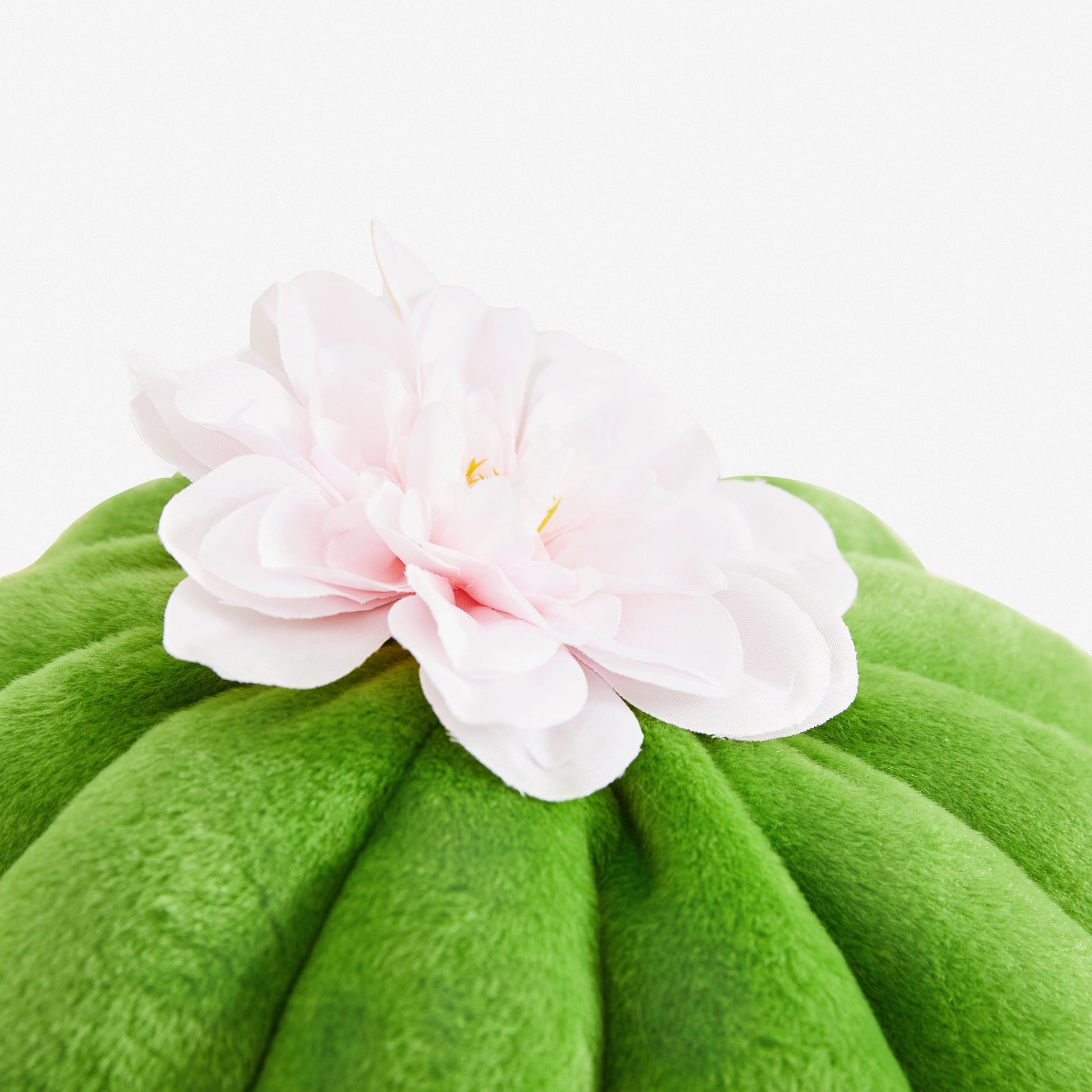 Vetreska Oasis Cactus Cat Bed 仙人掌猫窝