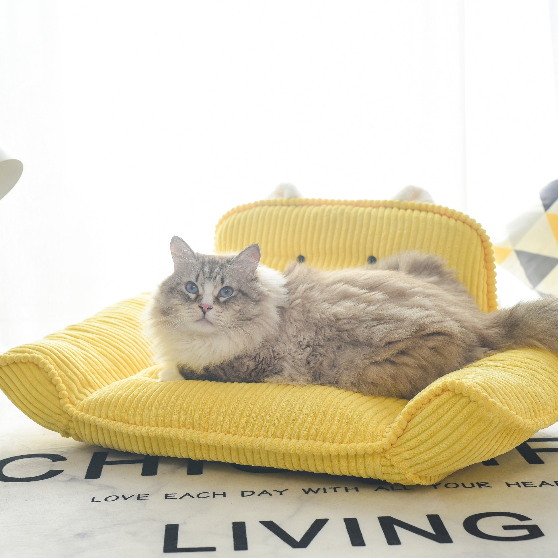 K.1 Andrey Pet Sofa 奥黛丽宠物沙发