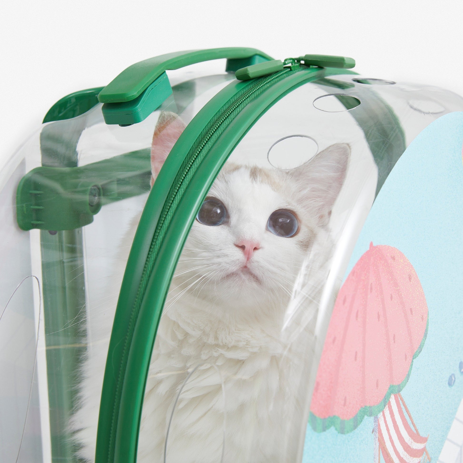 Vetreska Bubble Luggage 未卡泡泡箱-绿色 透明款