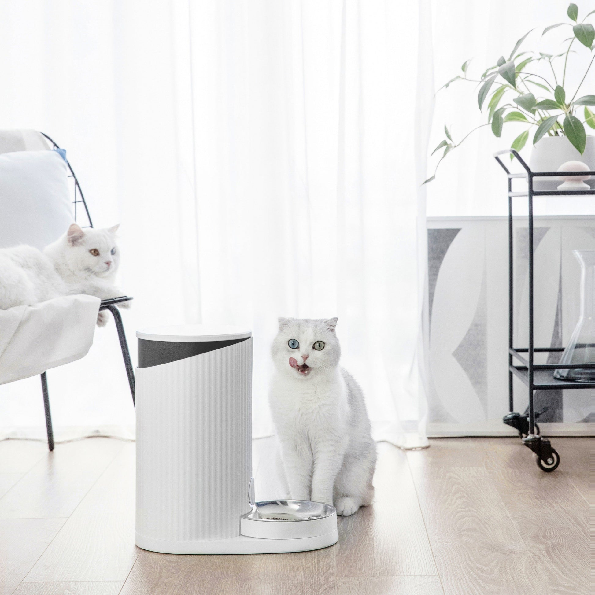 Furrytail Feeder 尾巴生活时光机自动喂食器