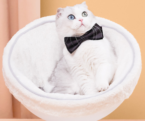 Furrytail Boss Cat Bed, Elevated Cat Chair 猫老板猫窝