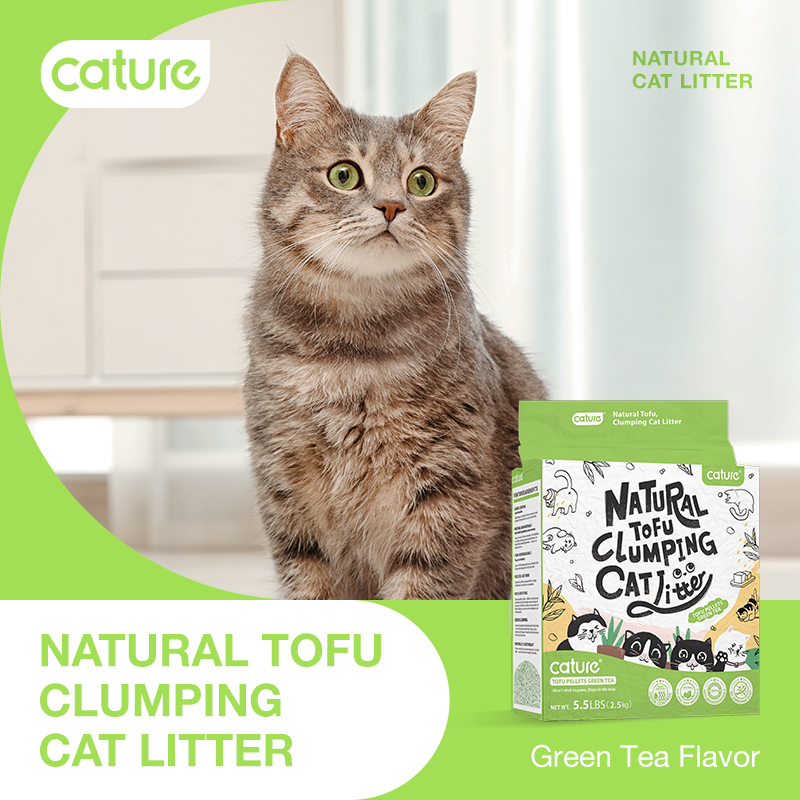 Cature Tofu Cat Green Tea 6L/20L 猫殿下绿茶豆腐猫砂6L/20L
