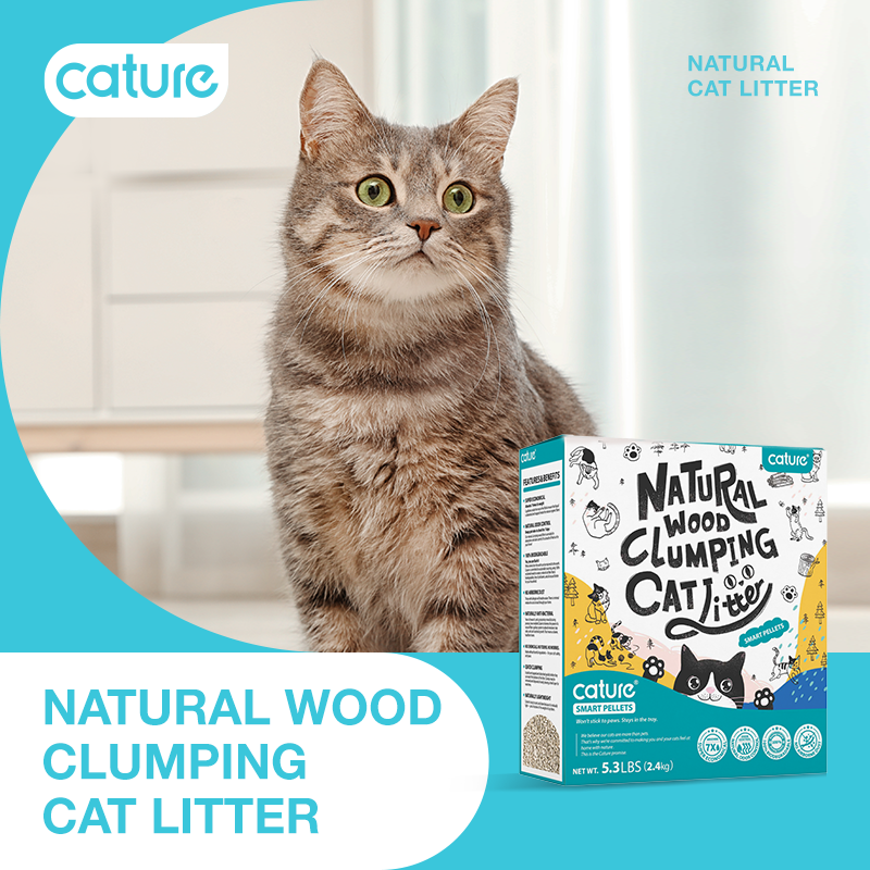 Cature Natural Wood Clumping Cat Litter | Best Cat Litter | Smart Pellet | Original Cat Litter - 6L(2.4kg)/20L(8kg)原木猫砂
