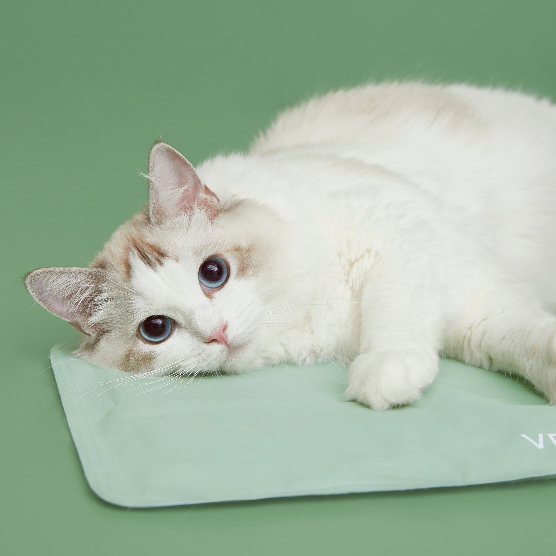 Vetreska Bubble Luggage 未卡泡泡箱-绿色 透明款