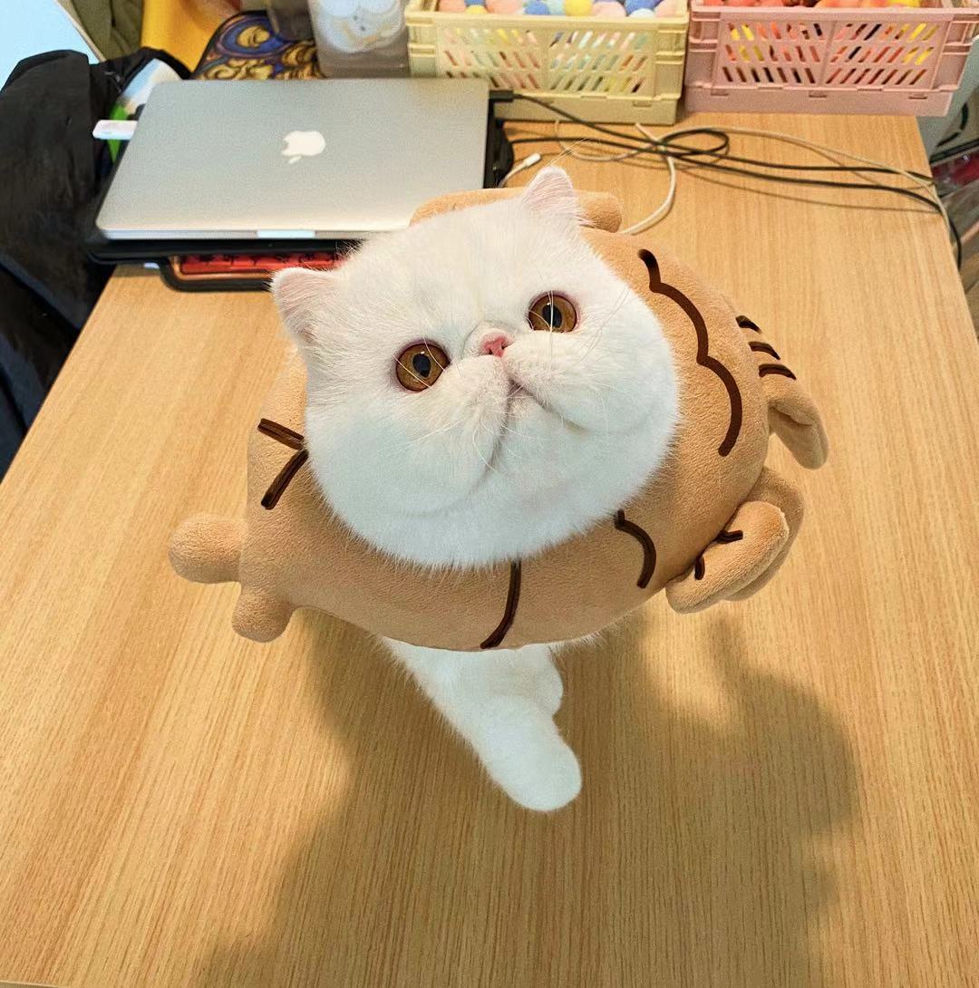 Bigger Fish Taiyaki Elizabeth 鲷鱼烧头套