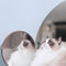 Furrytail Goat Milk Cat Shampoo 羊奶香波