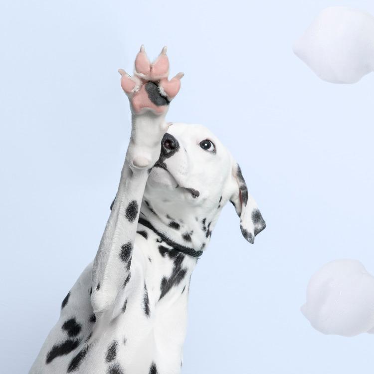 Furrytail Goat Milk Paw Cleaning Foam 洁足泡沫