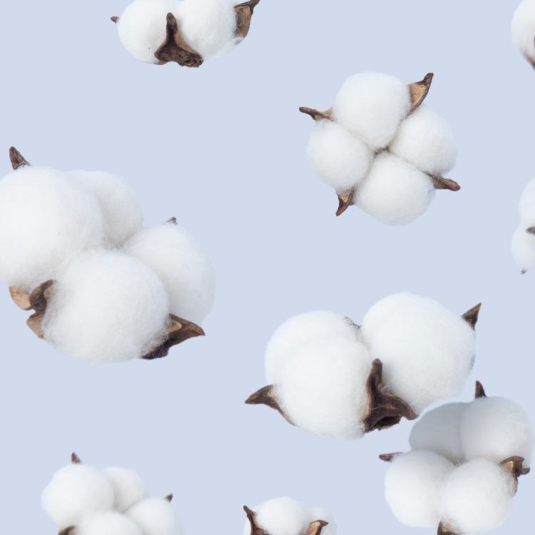 Furrytail Ear Cleaning Cotton Swab