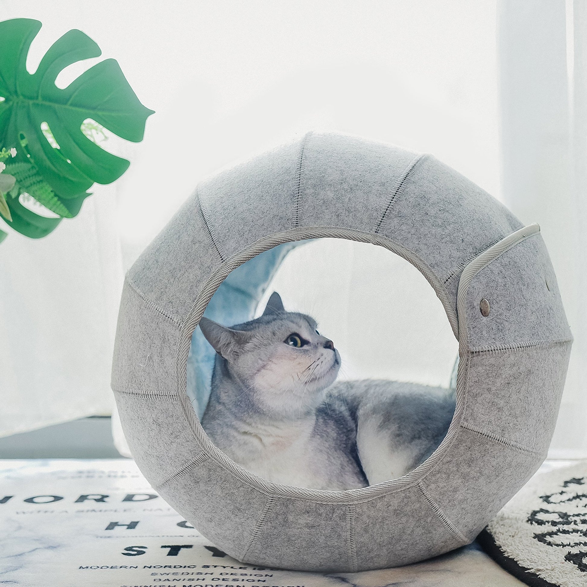 K.1 D.Ball Cat Bed Fun Nest Foldable Transformable Washable Scratch Resistant Cat Cave龙珠
