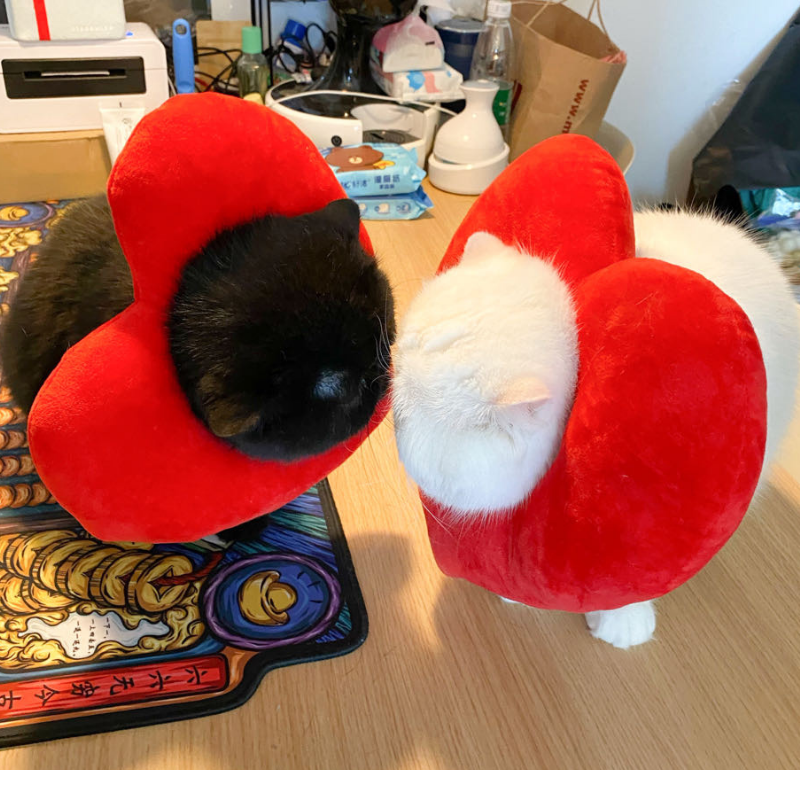 Bigger Fish Love Elizabeth 是心动头套