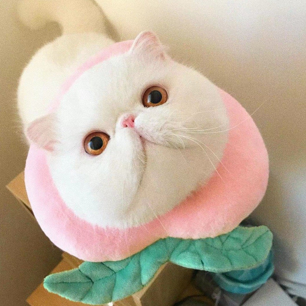 Bigger Fish Peaches Elizabeth 喵间水蜜桃头套