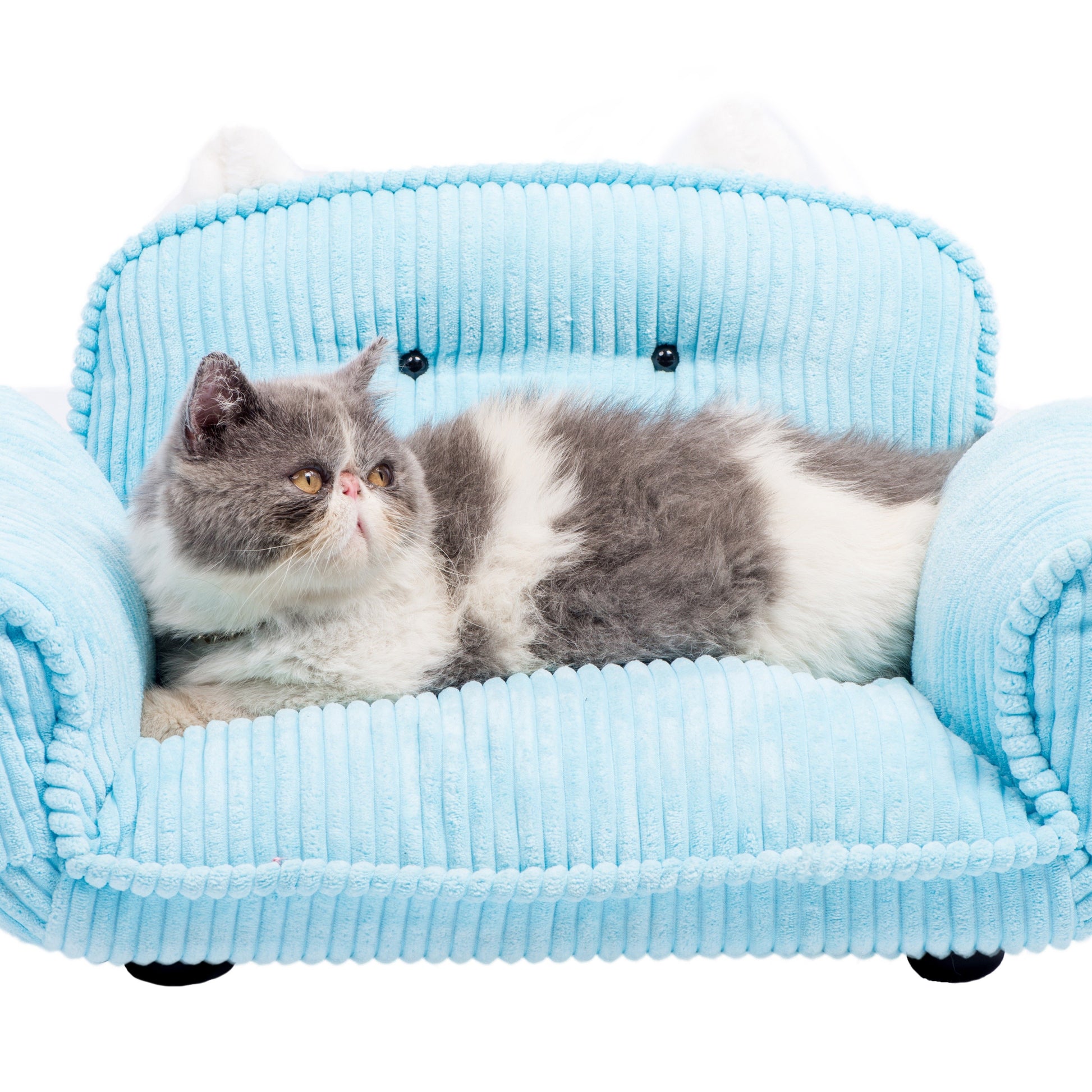 K.1 Andrey Pet Sofa 奥黛丽宠物沙发