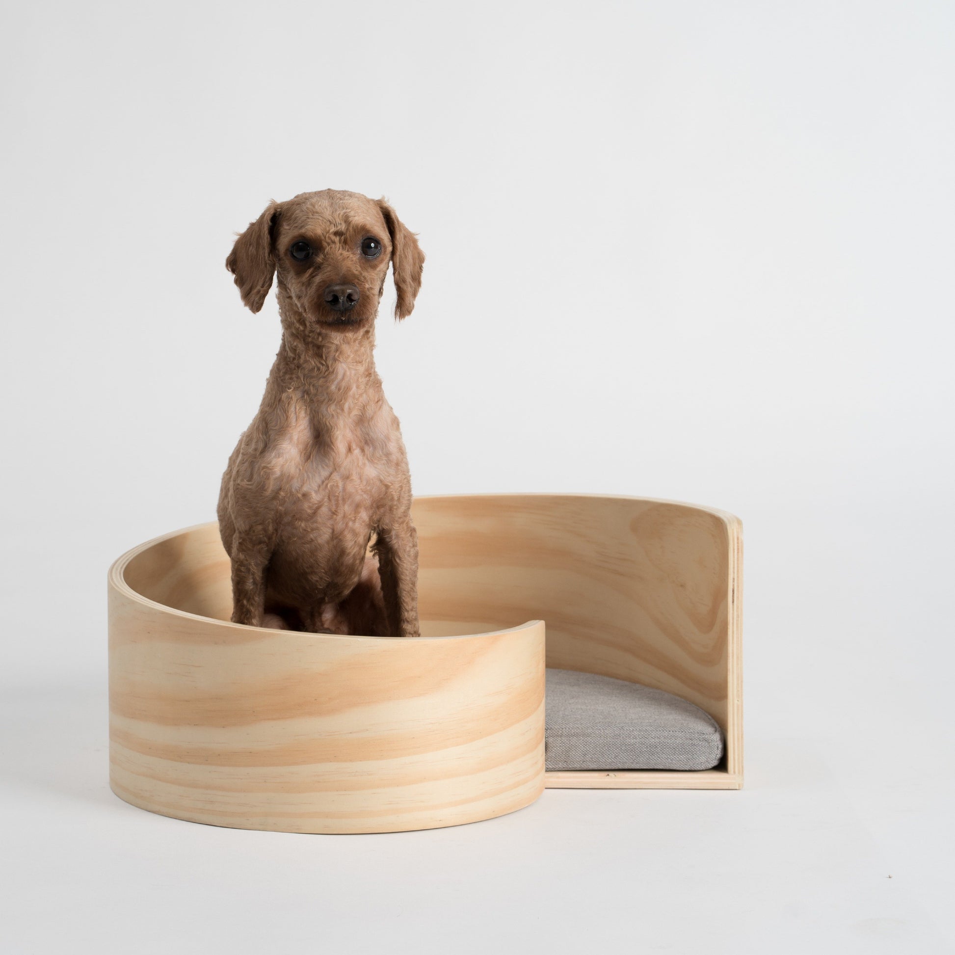 Pidan Pet bed Cat’s bed Spiral type