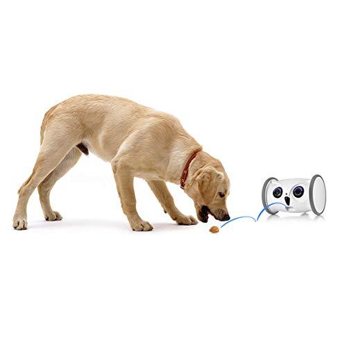 SKYMEE Owl Robot: Movable Full HD Pet Camera with Treat Dispenser, Interactive Toy for Dogs and Cats, Mobile Control via App (2.4G WiFi ONLY) 宠物陪伴机器人