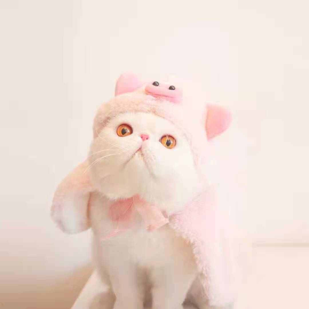 Bigger Fish Piggy Cape 小猪斗篷