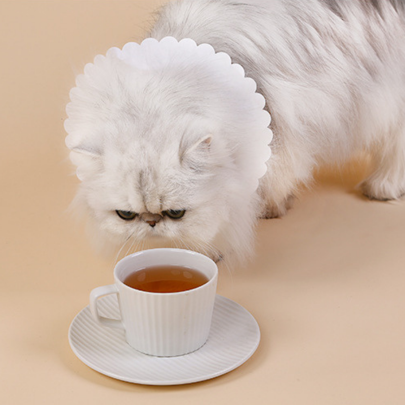 Dina Cats Cat Tea