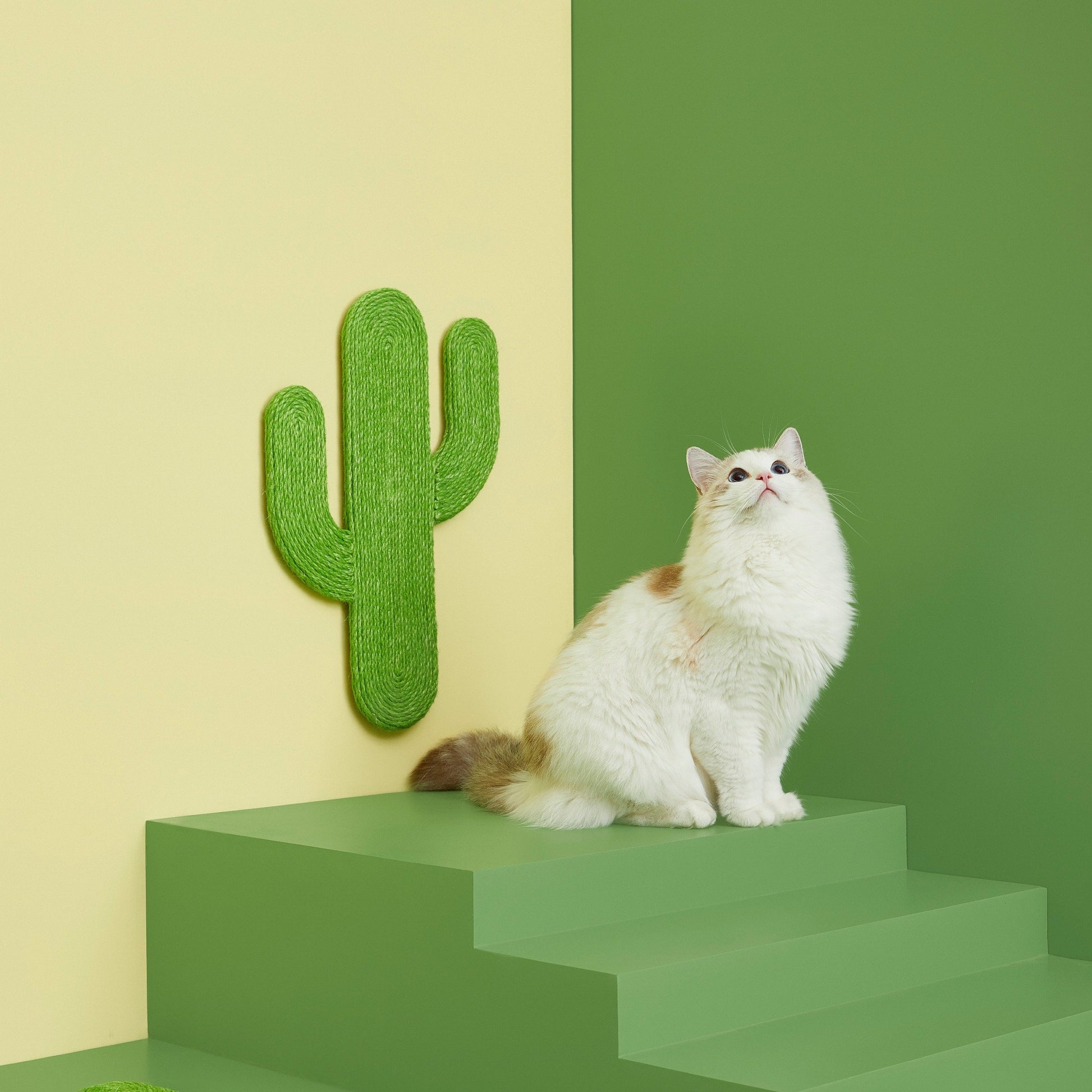 Vetreska Oasis Cactus Cat Scratching Board 仙人掌吸盘猫抓板