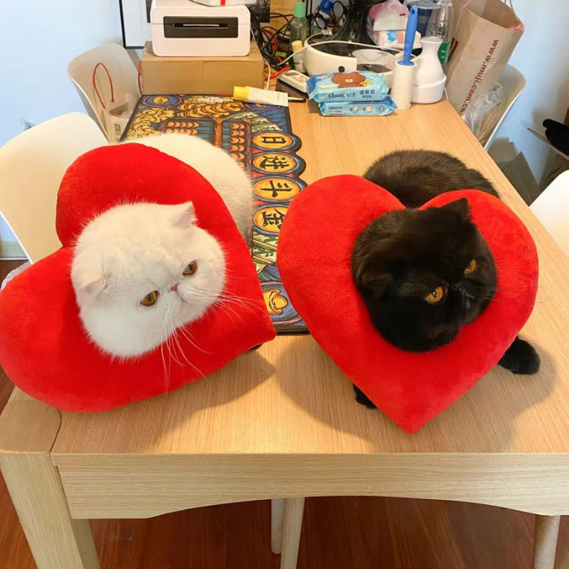 Bigger Fish Love Elizabeth 是心动头套