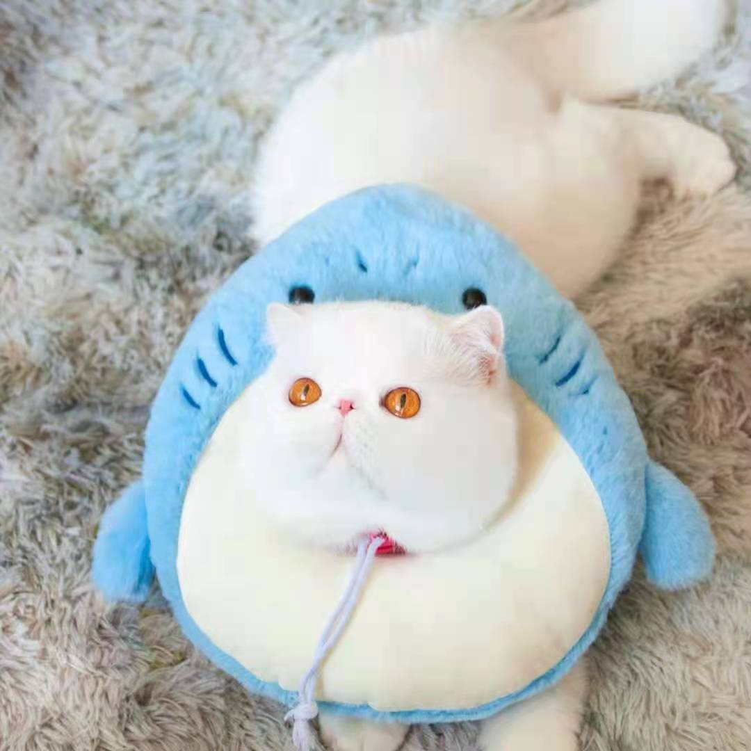 Bigger Fish Shark Elizabeth 伊丽鲨白圈 鲨鱼头套