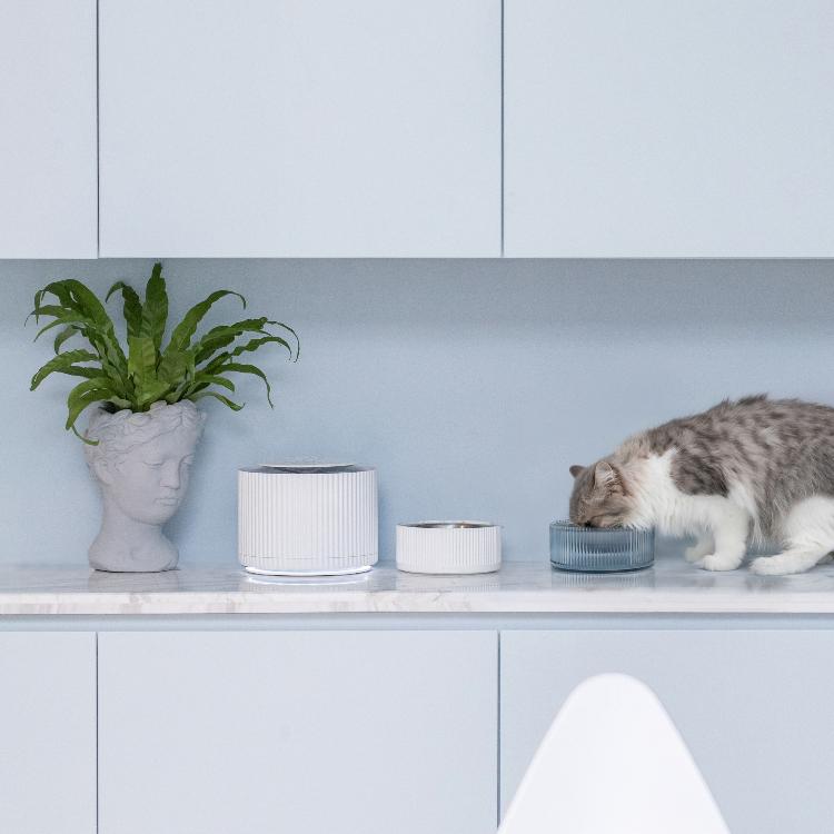 Furrytail Antibacterial Stainless Steel Cat Bowl 波波单碗