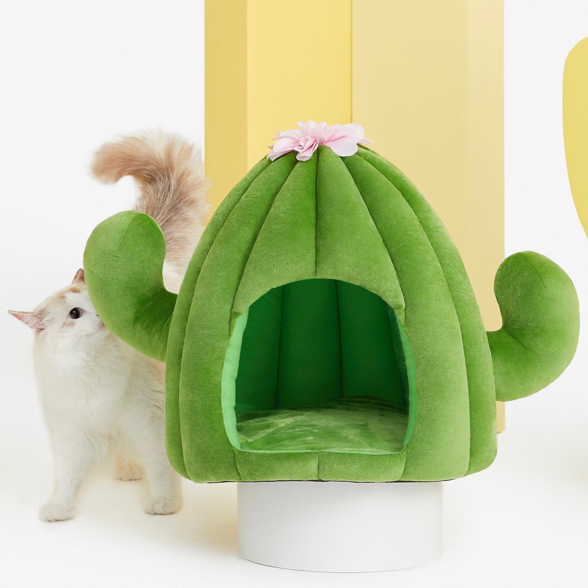 Vetreska Oasis Cactus Cat Bed 仙人掌猫窝