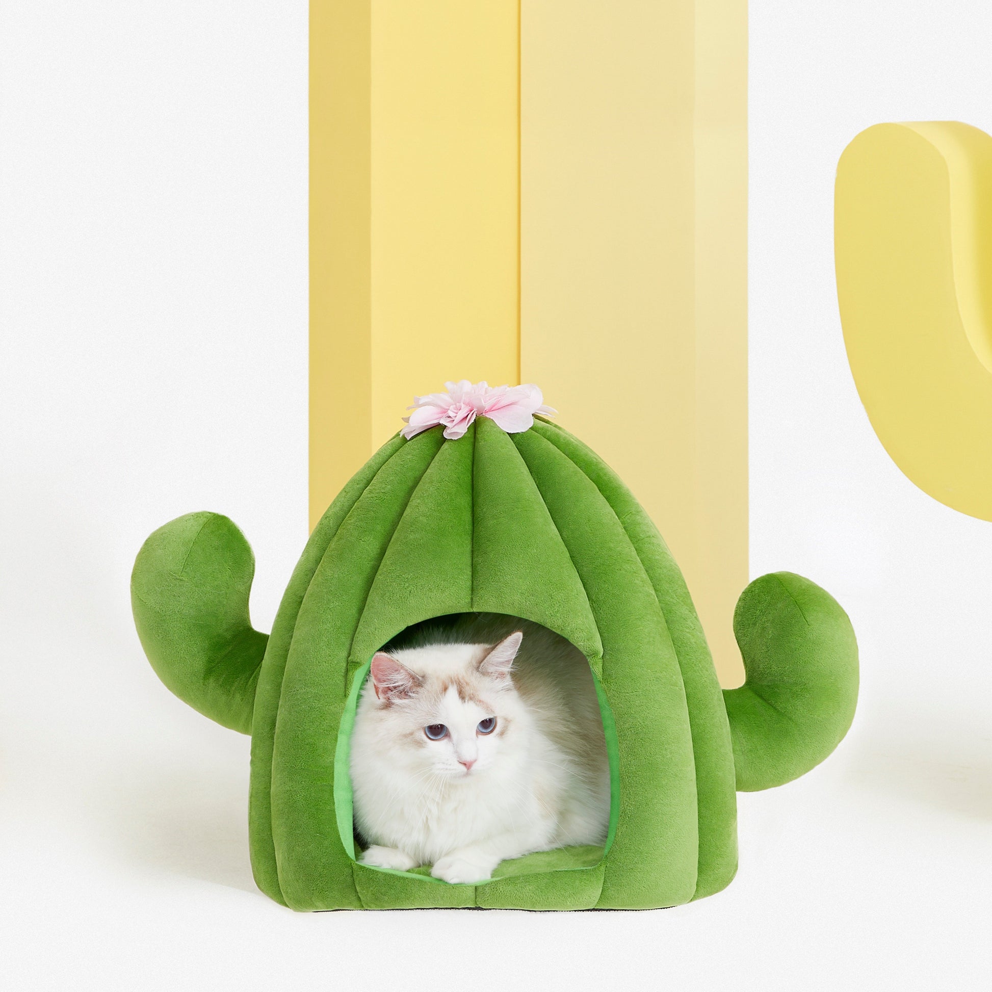 Vetreska Oasis Cactus Cat Bed 仙人掌猫窝