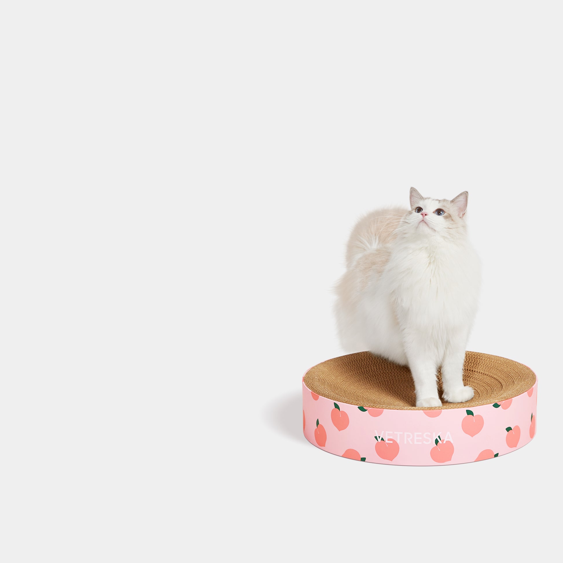 Vetreska Tangerine Cat scratching Bed 猫抓盒-圆形西瓜/桃子