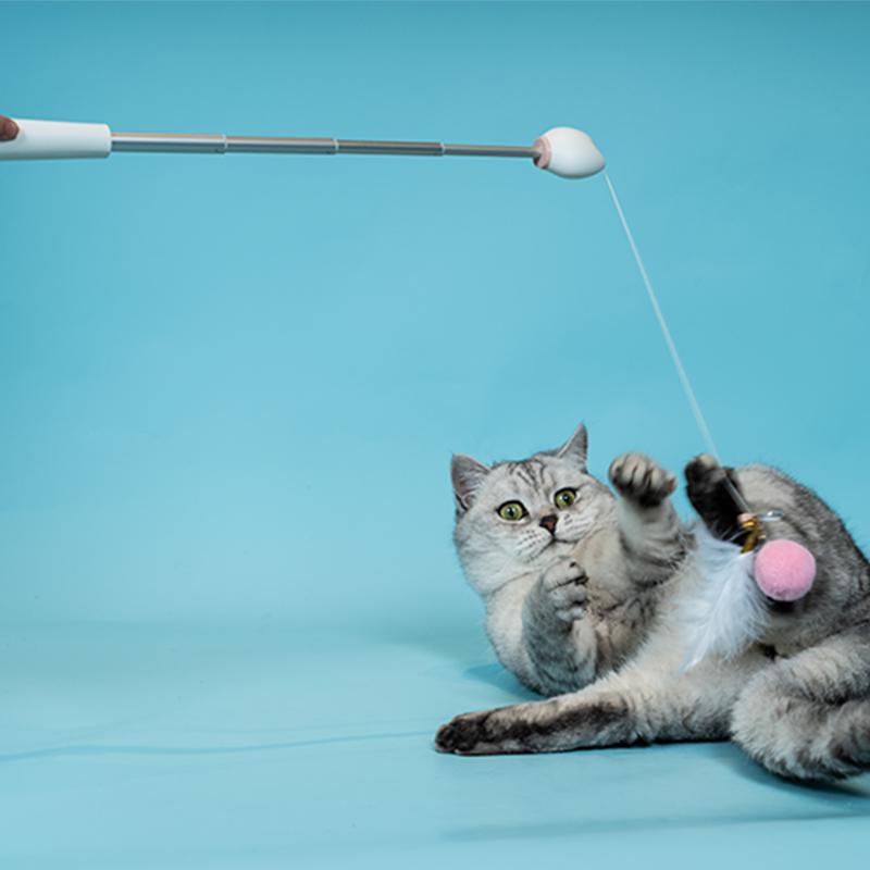 Aiwo multifunctional Cat Teaser 艾窝魔法逗猫棒