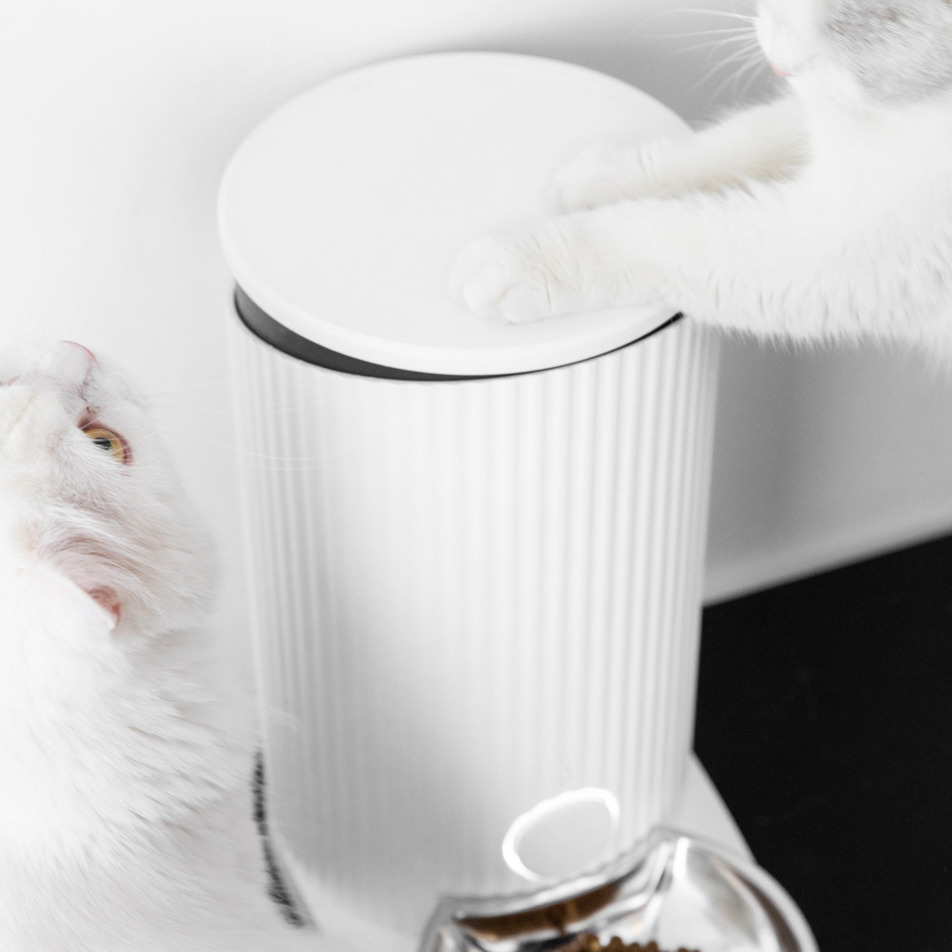 Furrytail Feeder 尾巴生活时光机自动喂食器