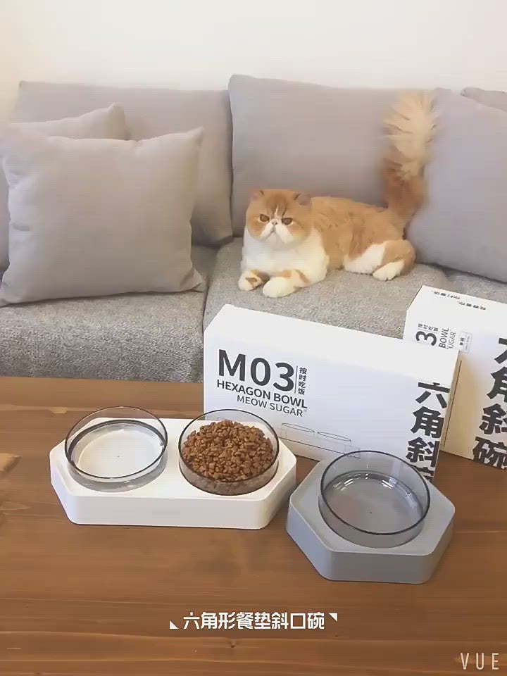 六角斜碗-单碗/双碗