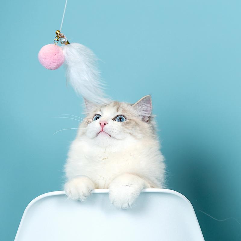 Aiwo multifunctional Cat Teaser 艾窝魔法逗猫棒