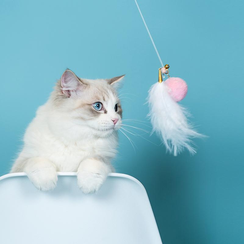 Aiwo multifunctional Cat Teaser 艾窝魔法逗猫棒