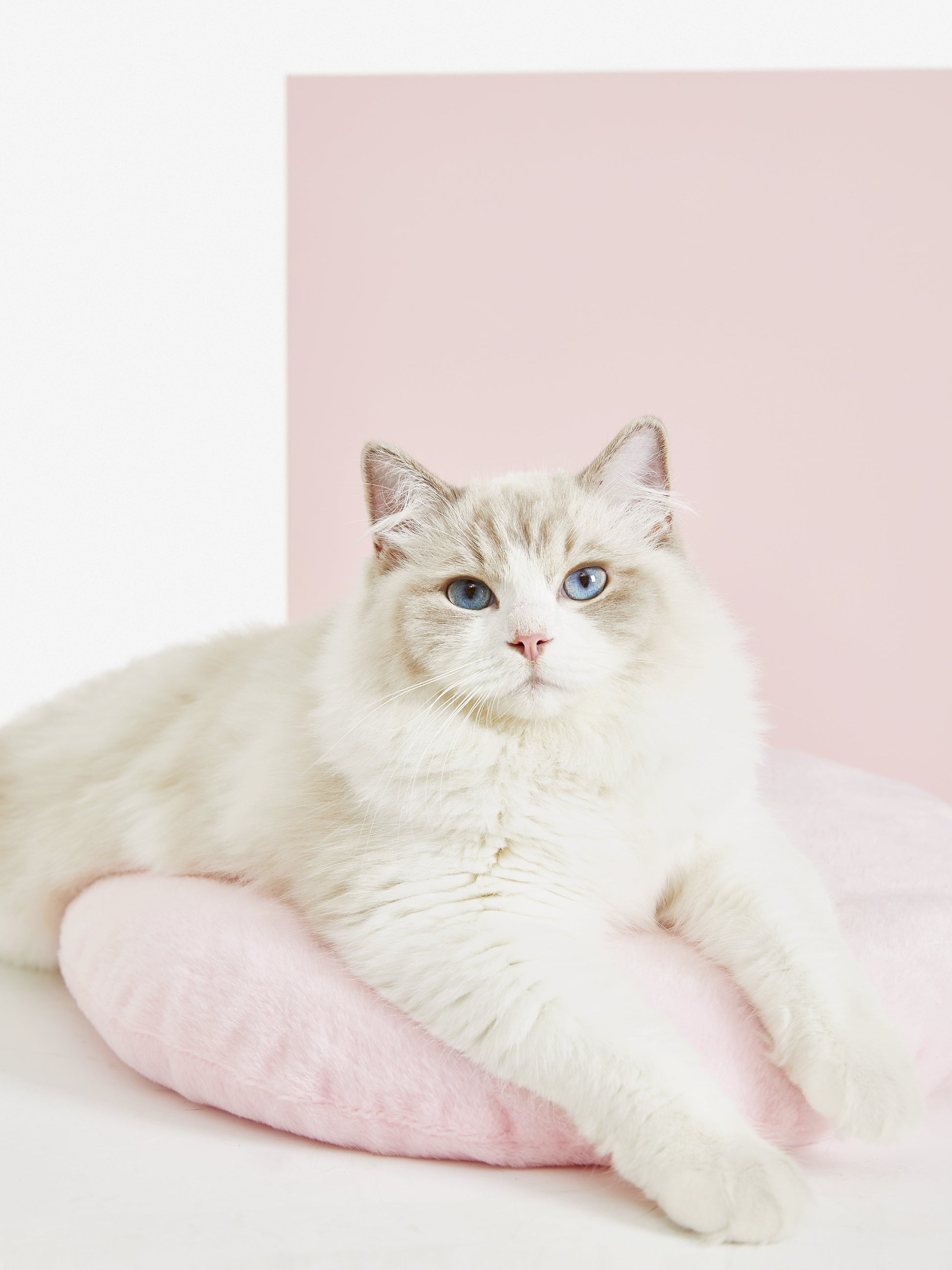 Vetreska Peach Cat Bed 蜜桃猫窝