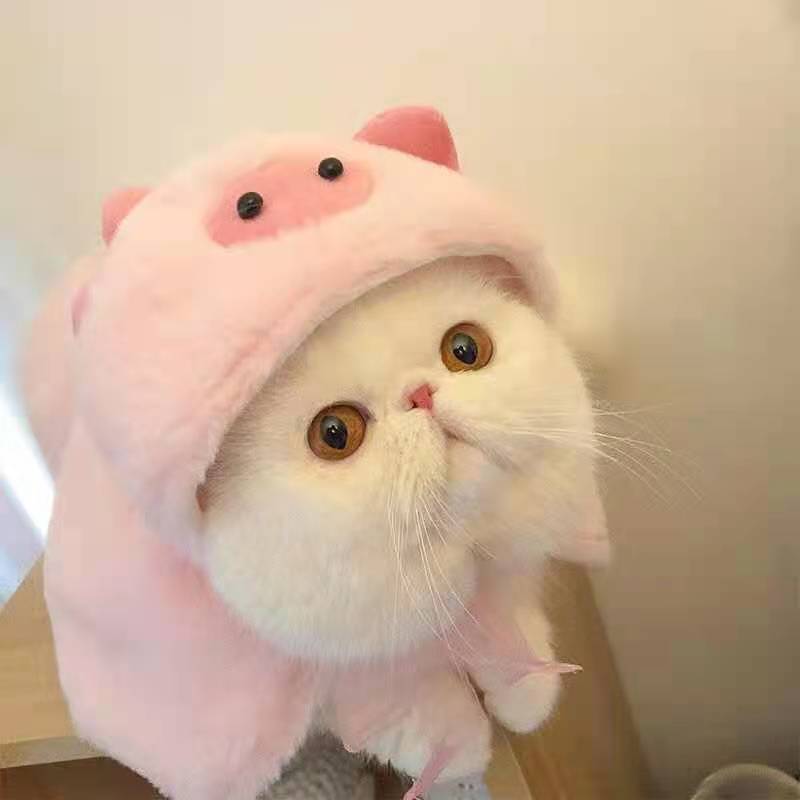 Bigger Fish Piggy Cape 小猪斗篷