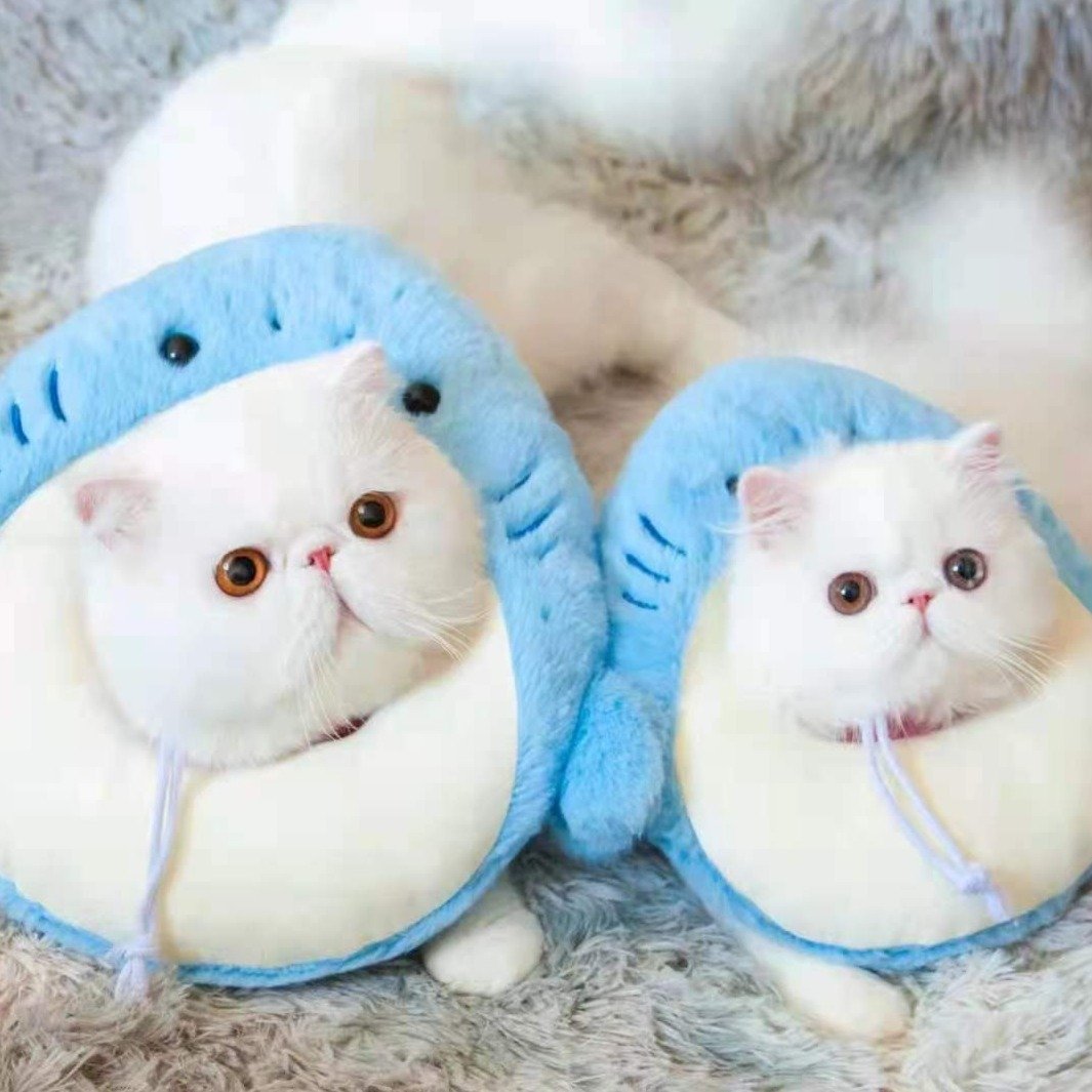 Bigger Fish Shark Elizabeth 伊丽鲨白圈 鲨鱼头套