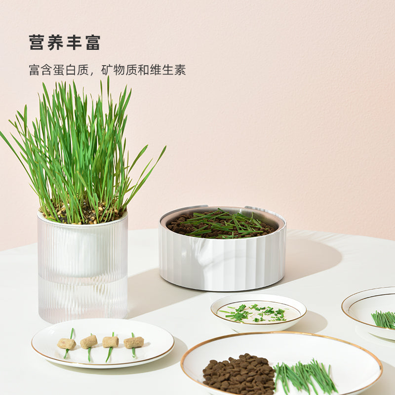 氧气猫草