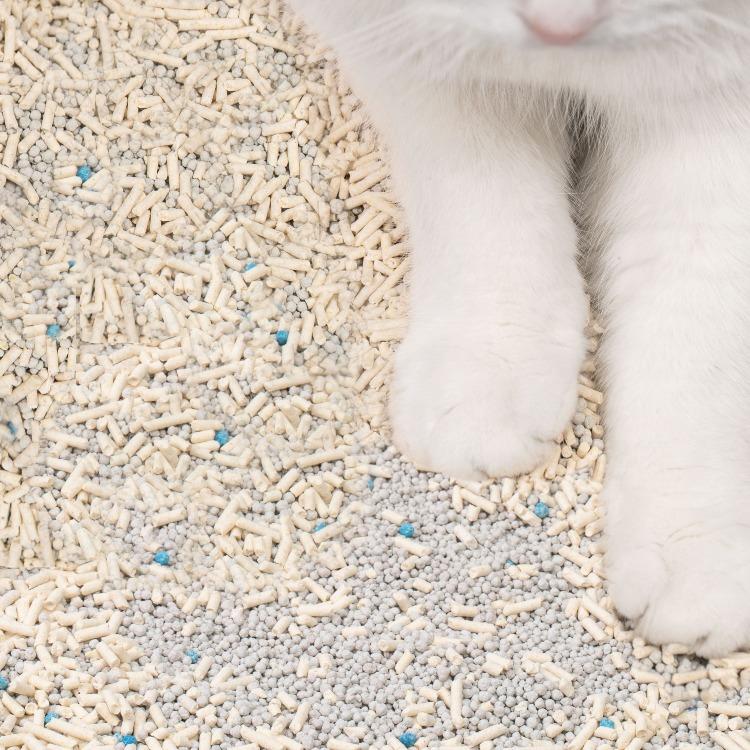 Furrytail Mix Ball- Tofu with Bentonite Cat Litter 小混球 豆腐膨润土混合猫砂