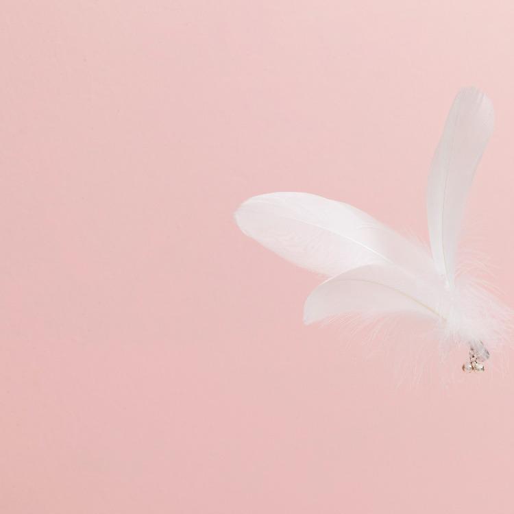 Furrytail Flamingo Cat Teaser | Funny Cat Toy with Bell Feather 火烈鸟逗猫棒