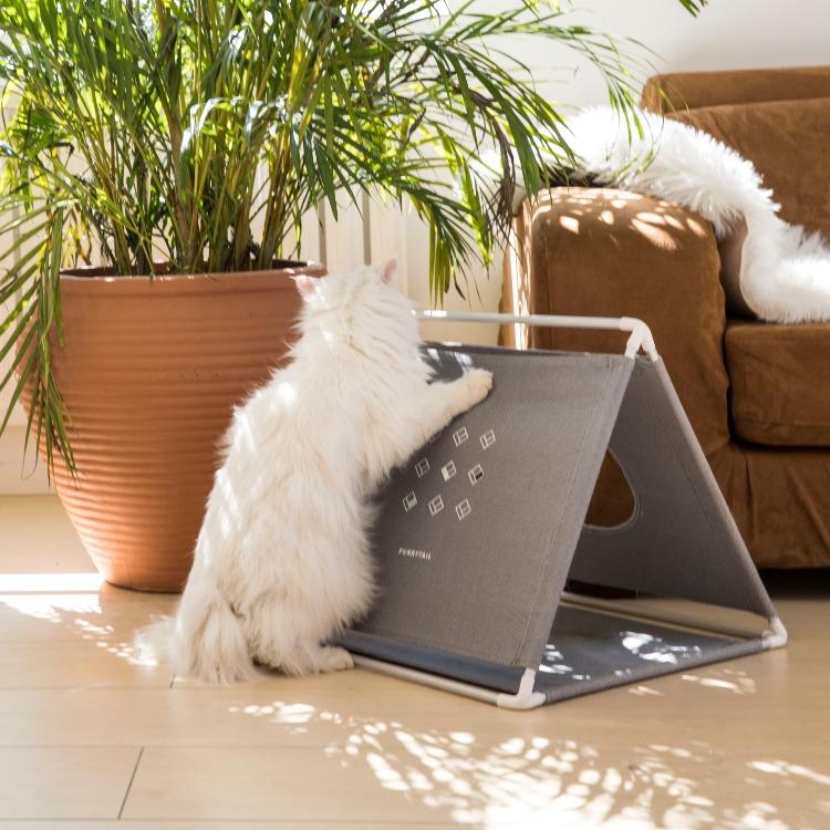 Furrytail X Cat Scratcher X猫抓板布抓板