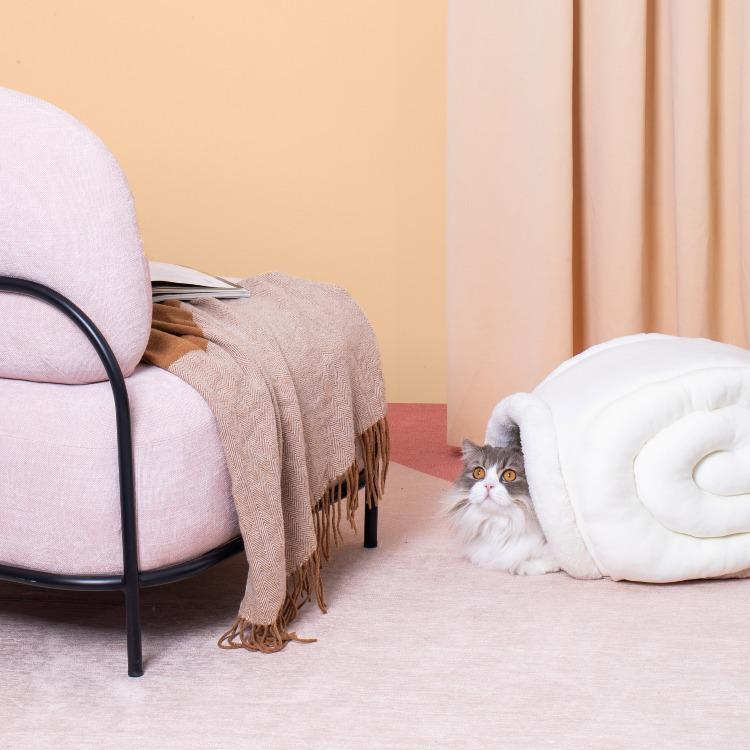 Furrytail Little Snail Cat Bed 尾巴生活蜗牛窝