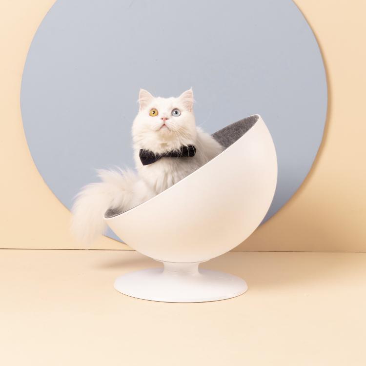 Furrytail Boss Cat Bed, Elevated Cat Chair 猫老板猫窝