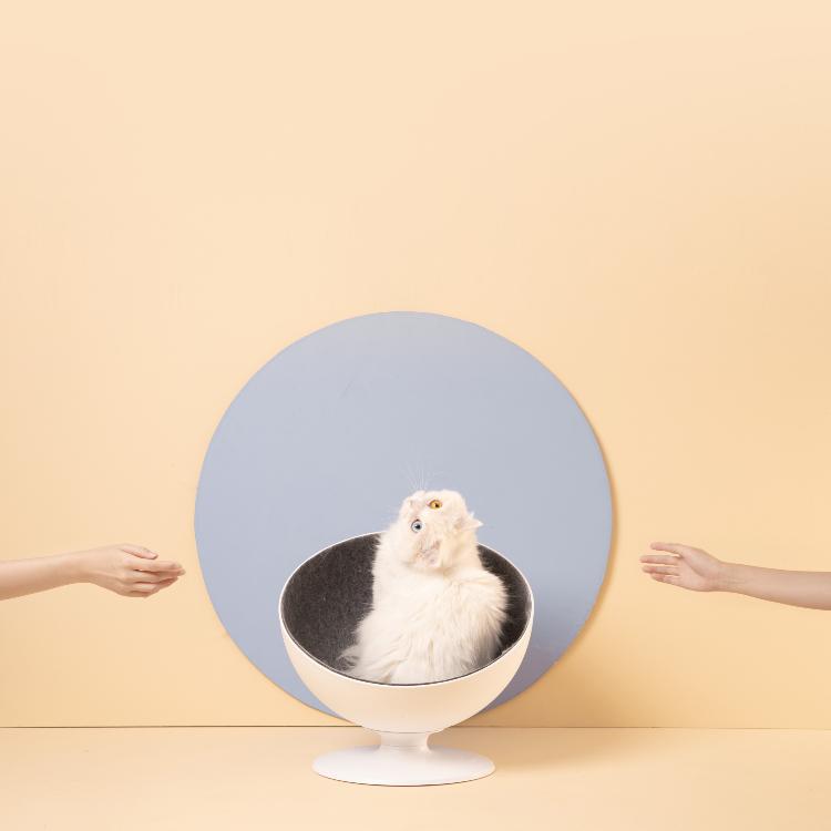 Furrytail Boss Cat Bed, Elevated Cat Chair 猫老板猫窝